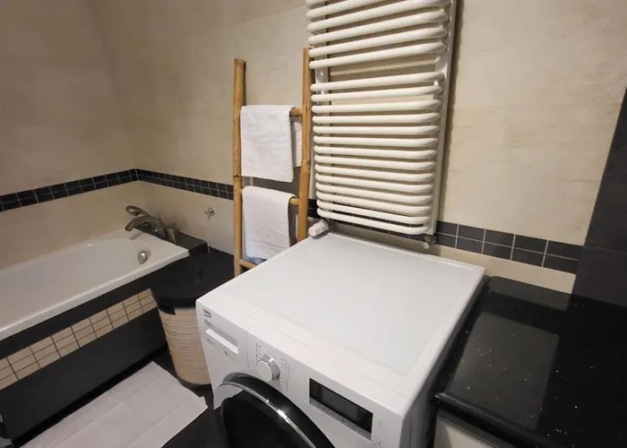 Apartmán Nad Jeziorem Zamkowym