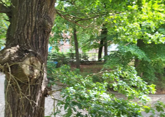 Nad Jeziorem Zamkowym * Wałcz